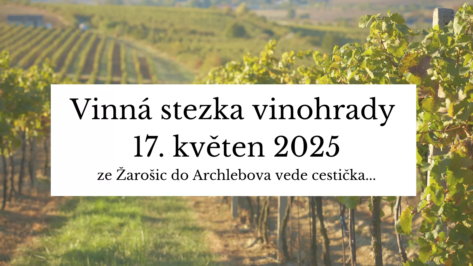 Vinná stezka Moravským Toskánskem