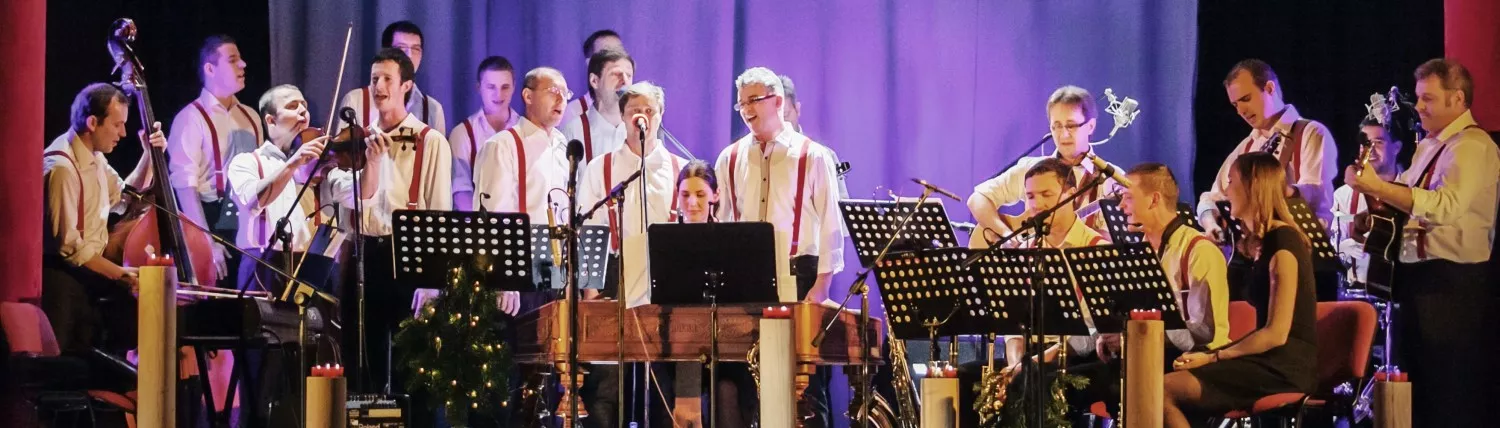 Vánoční koncert - Štěpánští koledníci ve Vedrovicích