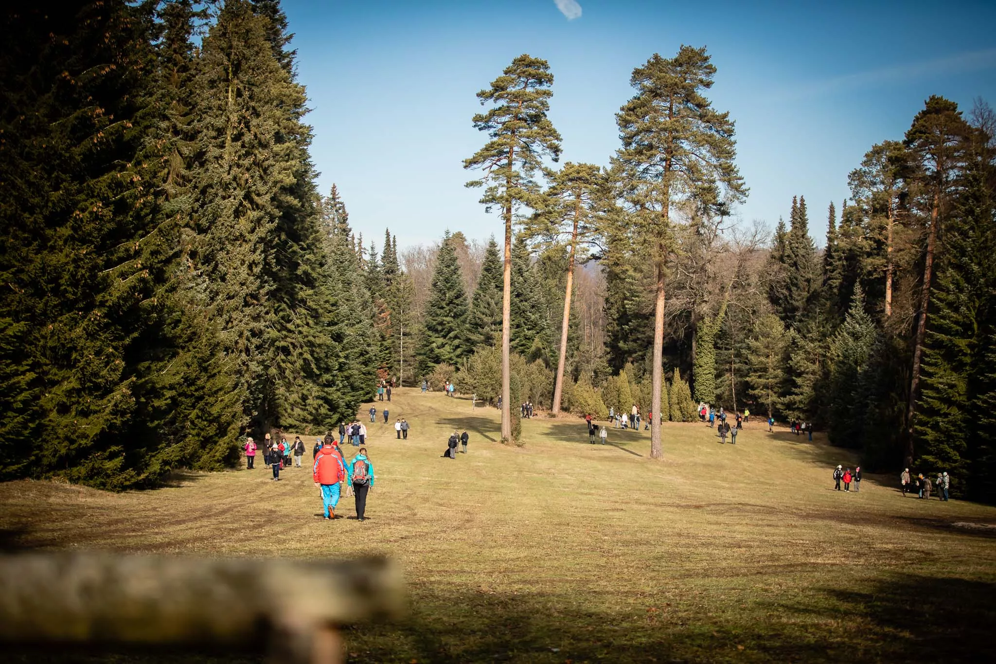 Zimní den otevřených dveří – Arboretum Řícmanice