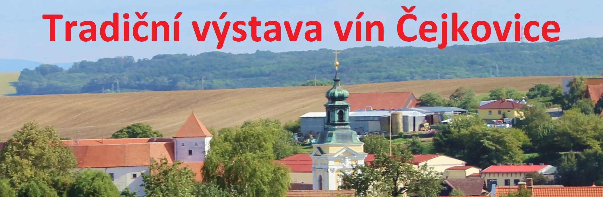 Tradiční výstava vín Čejkovice