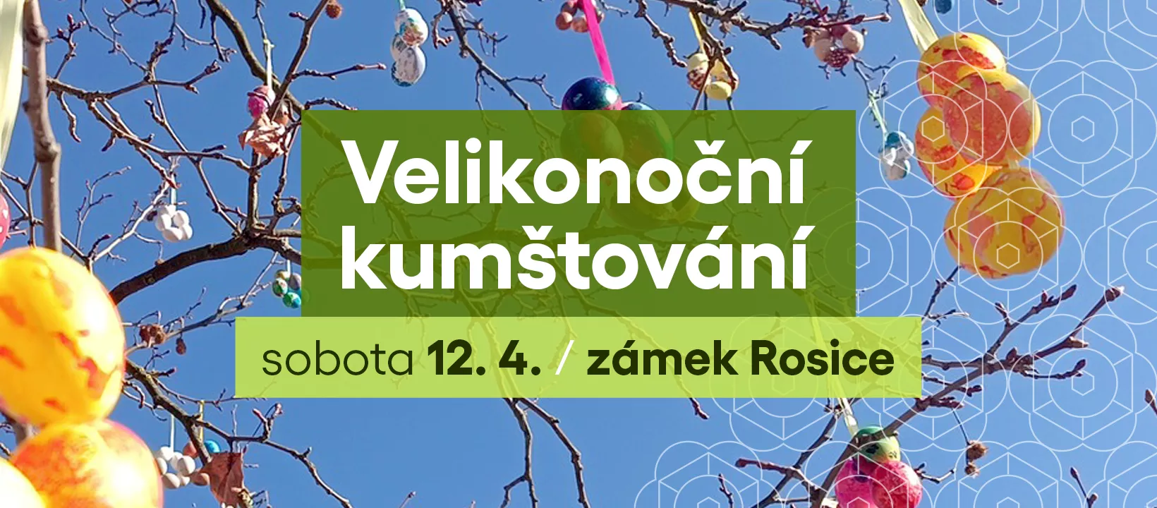 vajíčkovník, autor: petr STREUBEL