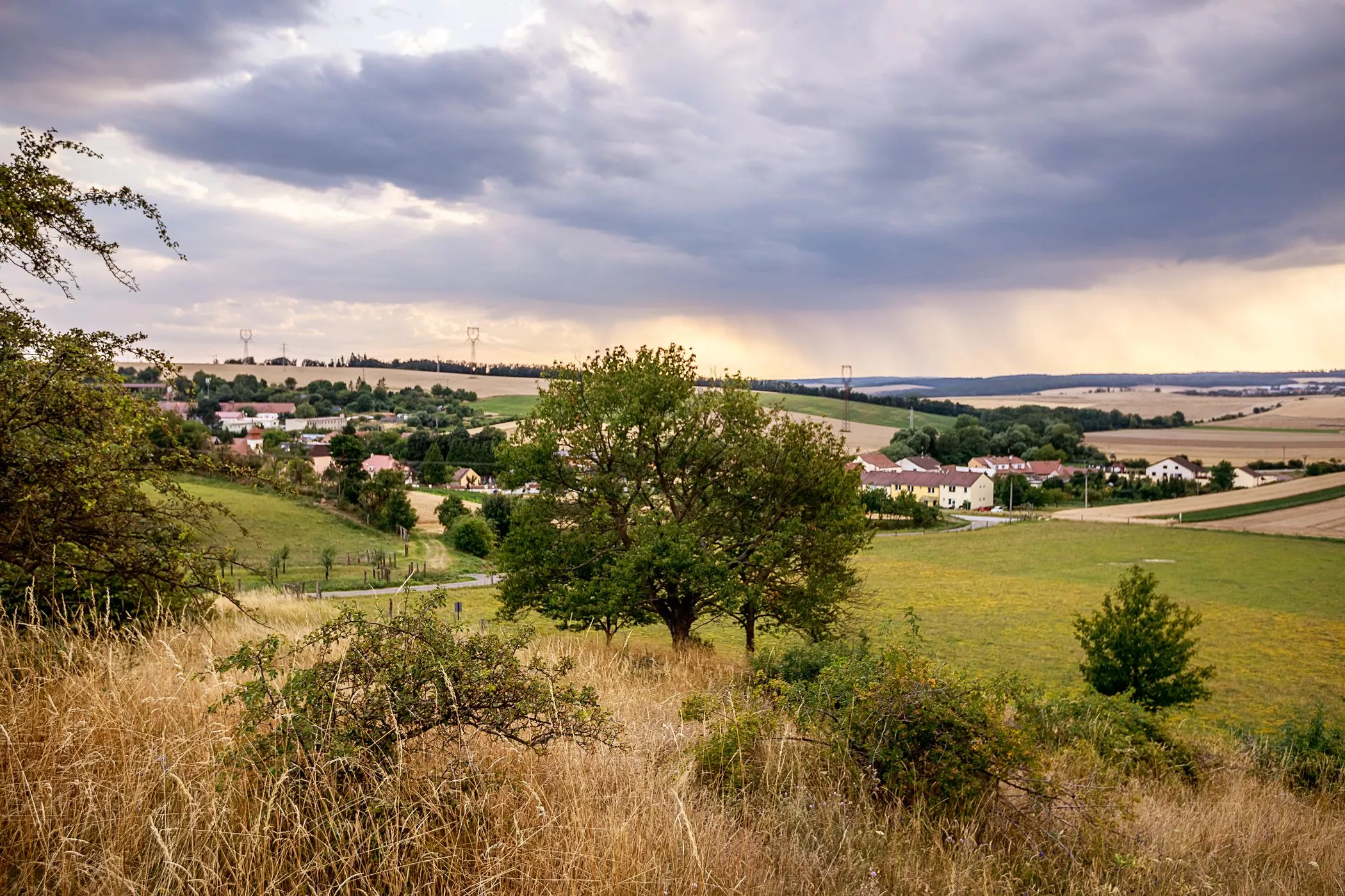 Přírodní památka Patočkova hora u Neslovic, autor: mikroregion Kahan
