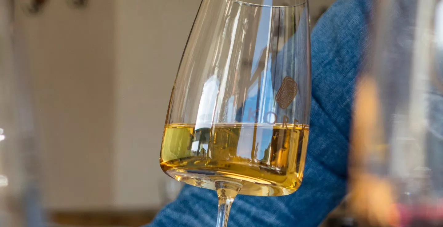 Degustace Vinařství Mikrosvín