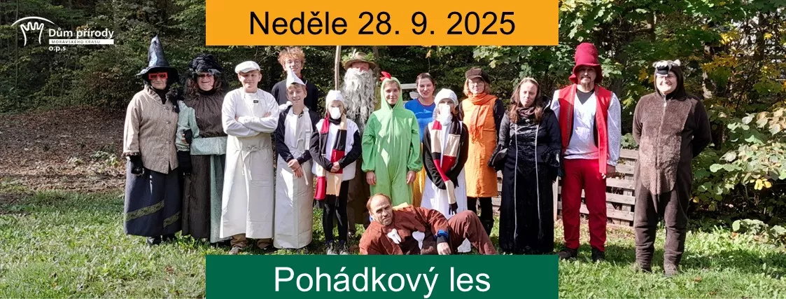 Pohádkový les, autor: DPMK