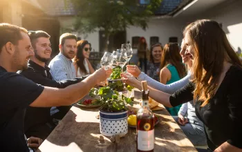Festival mladých vín v Šatově