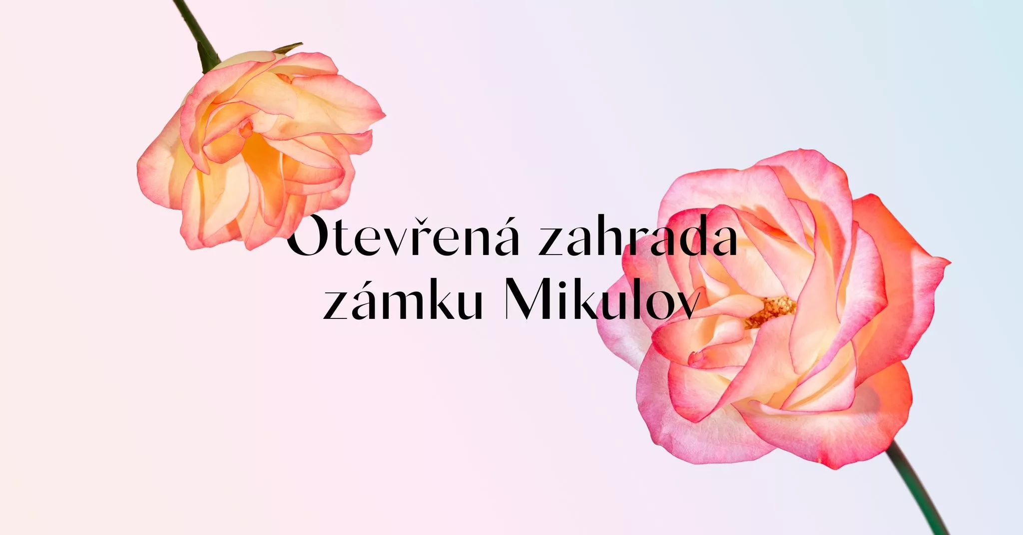 Otevřená zahrada - Zámek Mikulov