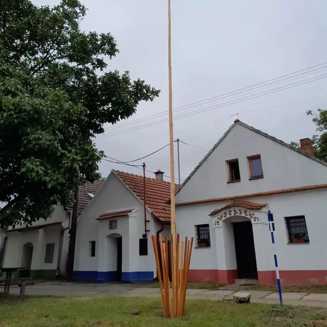 Na kole do Bojanovic
