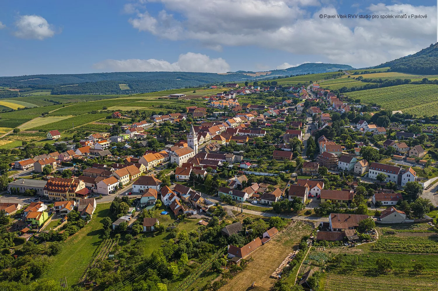 Noční otevřené sklepy v Pavlově