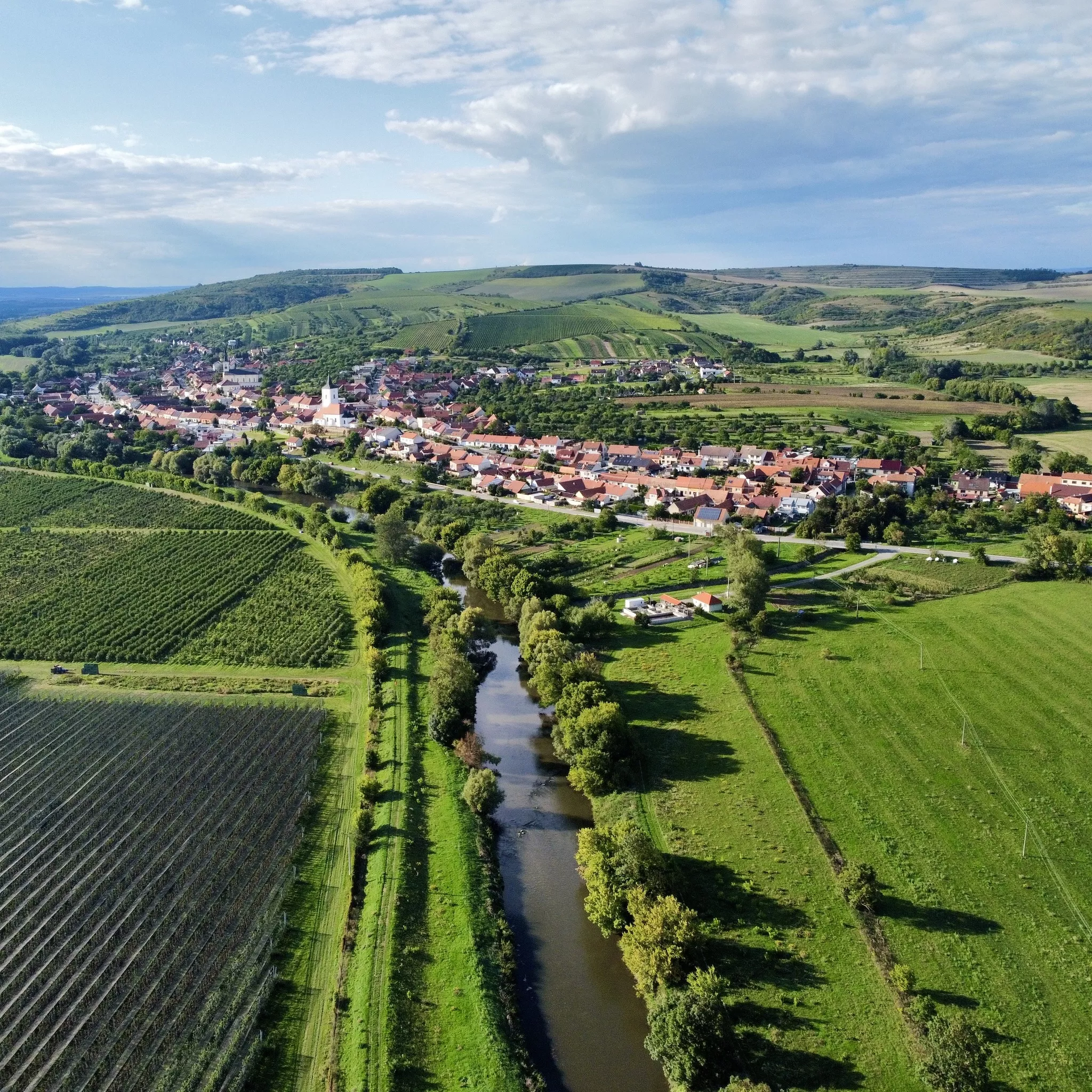 Otevřené sklepy Nosislav