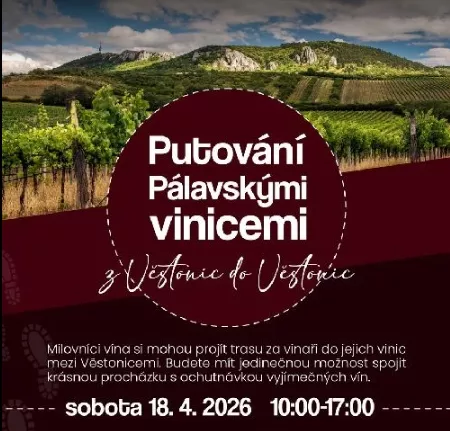 Putování Pálavskými vinicemi z Věstonic do Věstonic