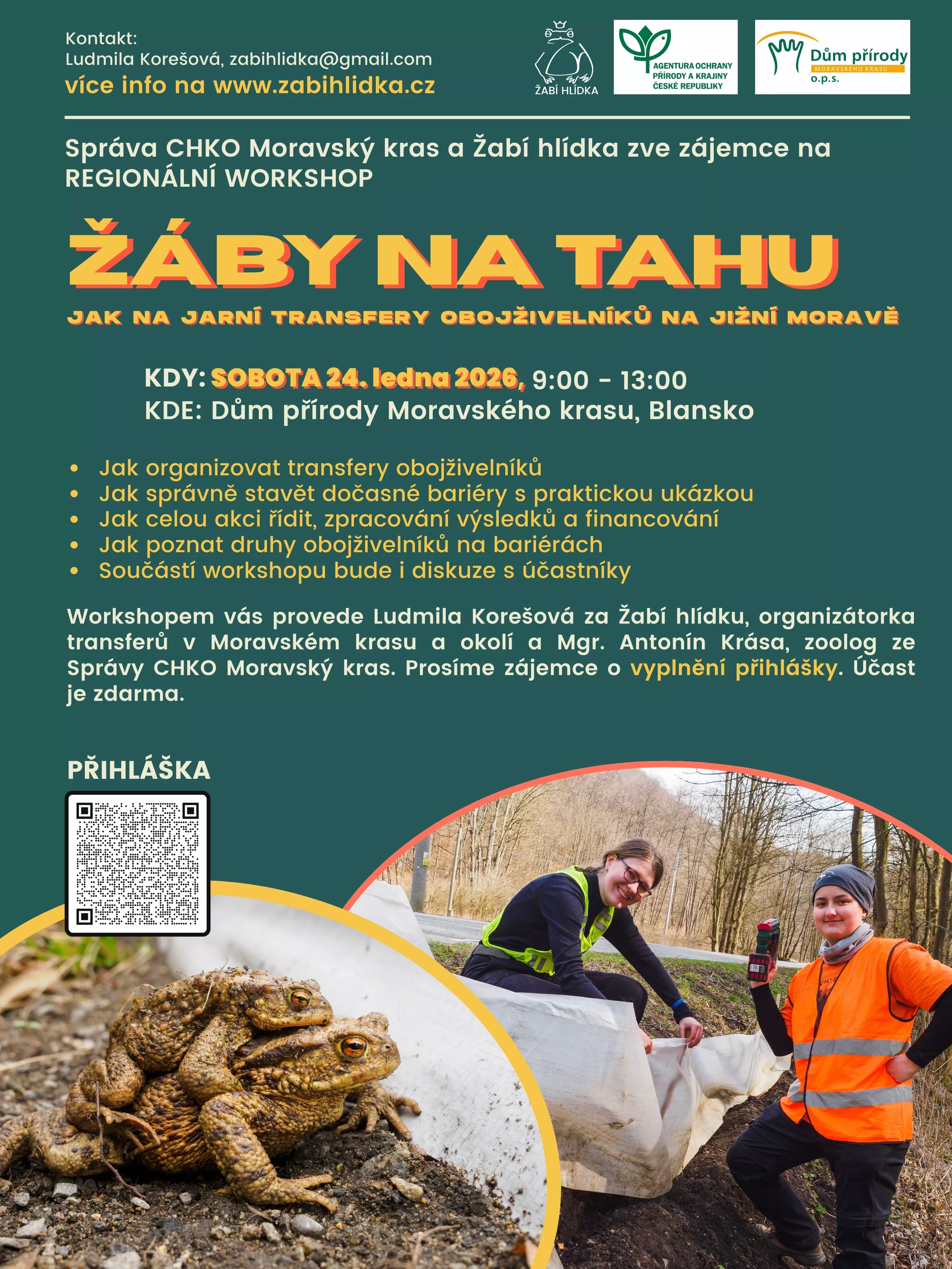 plakát Žáby na tahu, autor: Žabí hlídka