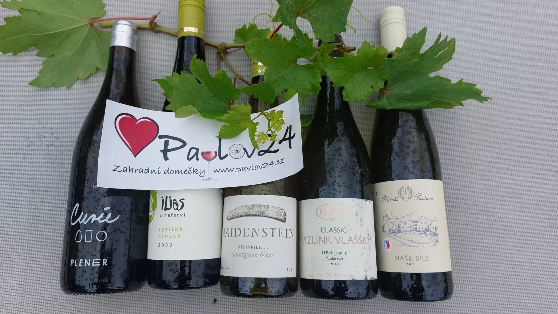 Zahradní degustace pavlovských vín