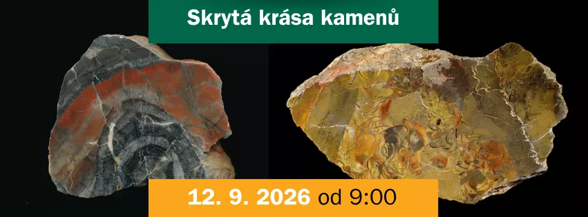 Skrytá krása kamenů 