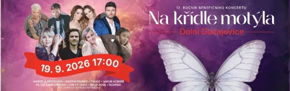 Na křídle motýla