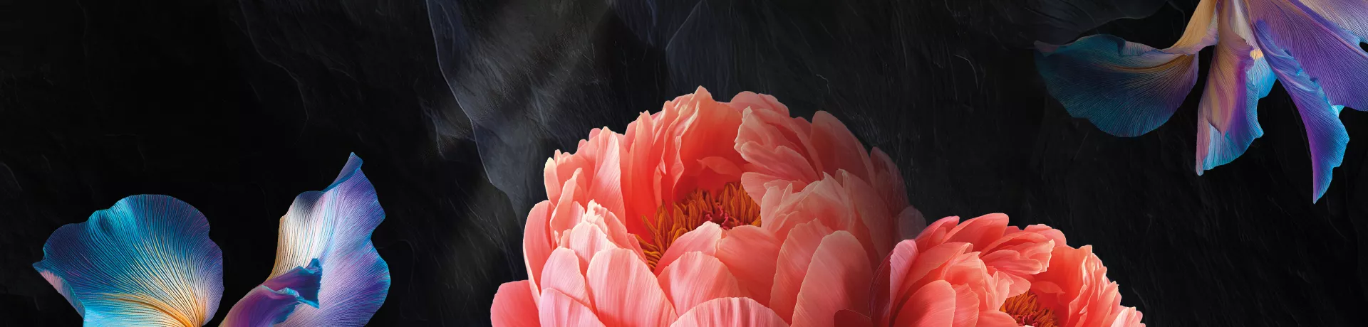 Flowers & Lights