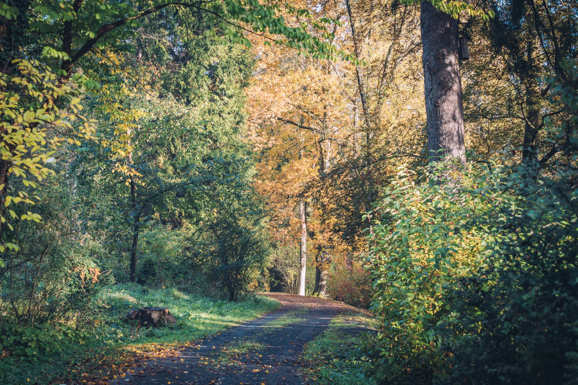 Den otevřených dveří v Arboretu Křtiny