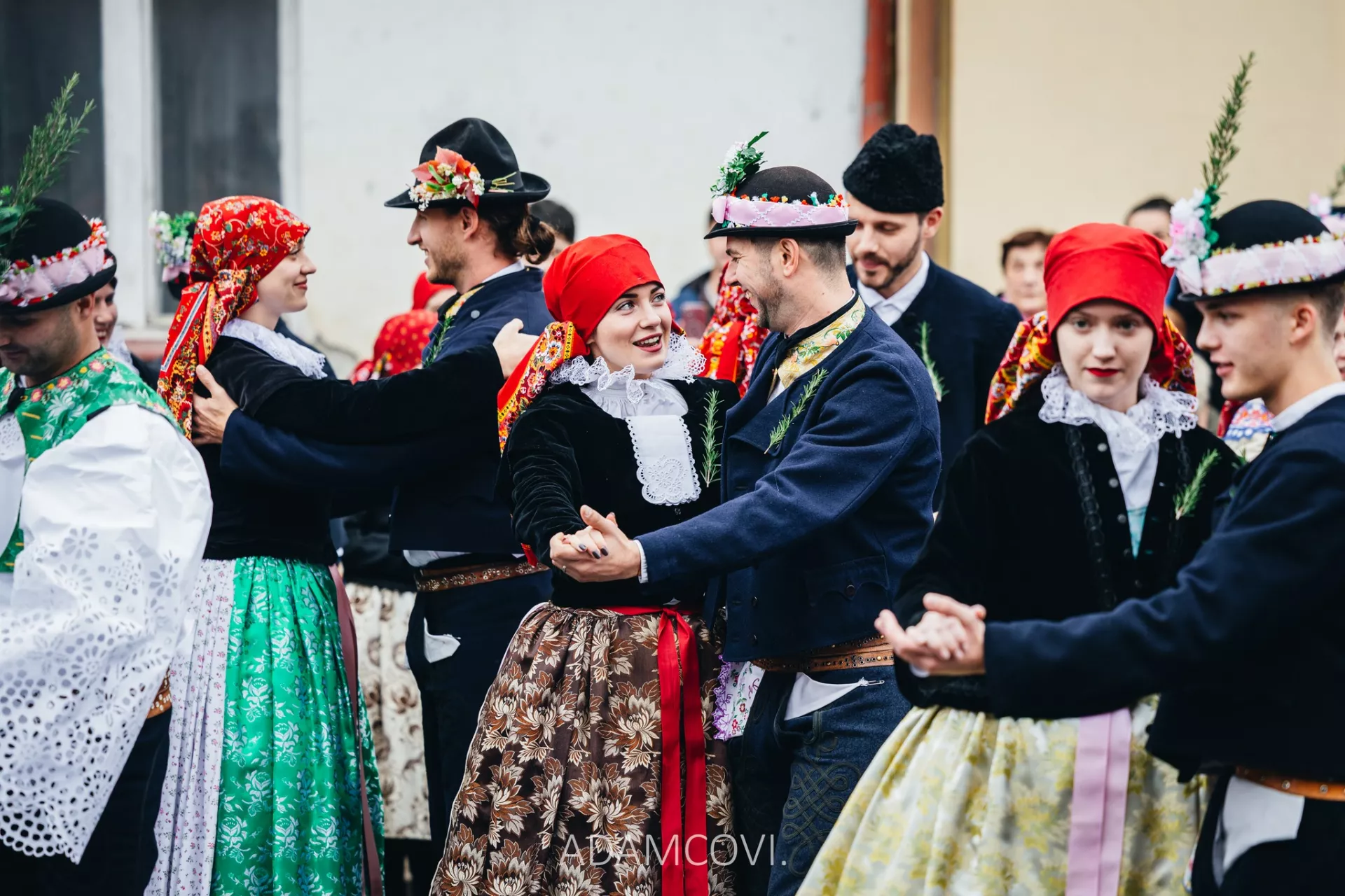 Svatomartinské hody